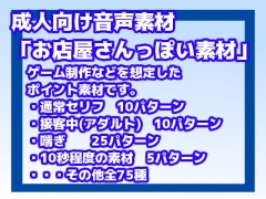 成人向け音声素材Vol5(お店屋さんっぽい素材)